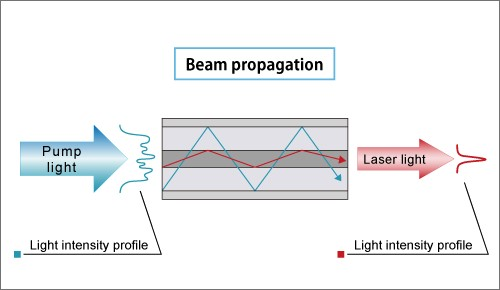 may-cat-laser-fiber-1